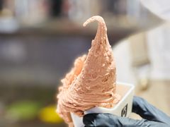 榛子巧克力冰淇淋-野人先生Gelato(上海长宁龙之梦店)