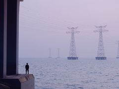 -宝安西湾红树林湿地公园