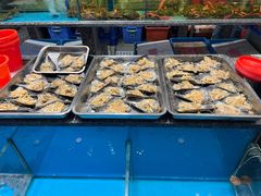 -舌尖上·霞浦滩涂海鲜·新闽菜(总店)