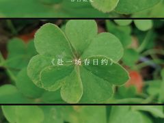 -新洲生态园