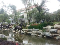 -云南省图书馆