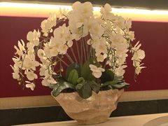 -赤火牛排(金狮广场店)
