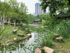 -月湖风景区
