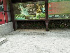 -清溪森林公园