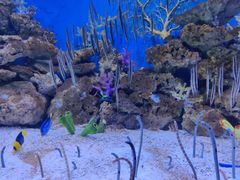 -成都浩海立方海洋公园