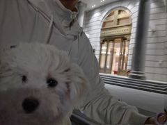 -科道动物医院·急重症中心(万达院)