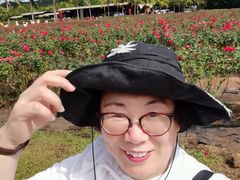 -亚龙湾国际玫瑰谷