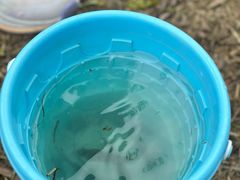 -白鹭湾湿地公园