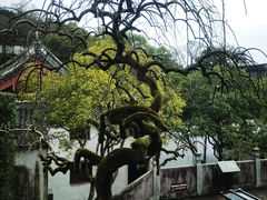 -宁波市保国寺古建筑博物馆