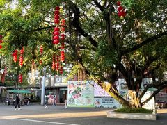 -广州市白云山风景名胜区