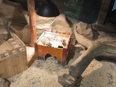 -绿色星球动物主题公园