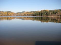 景点-五营红松林海景区
