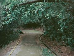 -羚羊峡古栈道森林公园