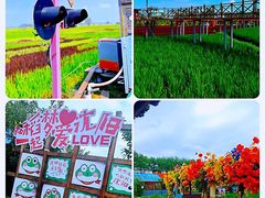 -稻梦空间