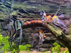 -上海海洋水族馆