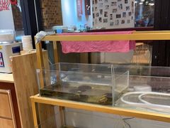 -十八字金银饰·拼豆·开蚌手工体验团建(君太百货店)