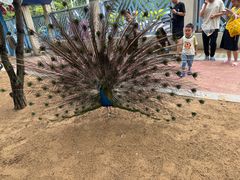 -秦皇岛野生动物园