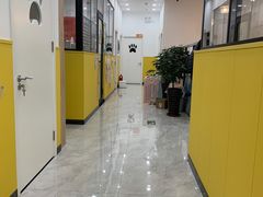 -瑞派·爱瑞可动物医院·口腔专科(广华新城分院)