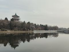 -莱西月湖公园