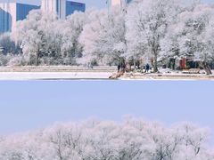 -北陵公园