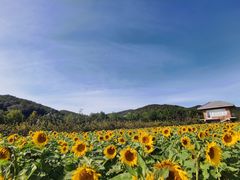 -大连北马山庄