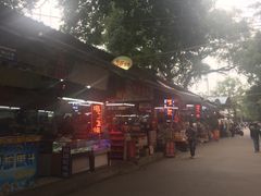 -广西大学(大学东路校区)