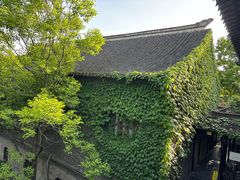 -梅园