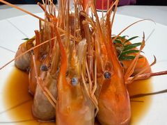 -阿露佳·舌尖上的安吉菜