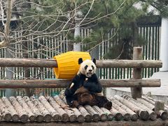 -大连森林动物园