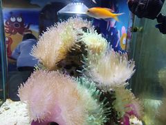 -太平洋海底世界