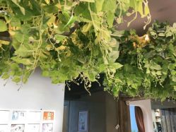 点击看大图 -韩孕社专业孕妇摄影(和平店)