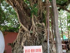-闽粤南澳总镇府