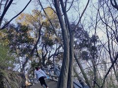 -塔云山