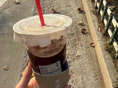 -代数学家algebraist(苏州中心店)