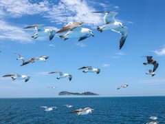 -海驴岛(荣成市)