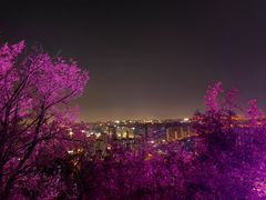 -红光山