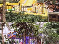 游乐设施-南宫五洲植物乐园