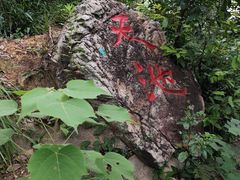 -青龙山国家森林公园