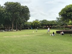 -顺峰山公园