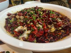 黑鱼花-三猫黑鱼花(南大店)