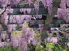 -北京市劳动人民文化宫(太庙)