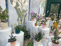 -中国科学院华南植物园