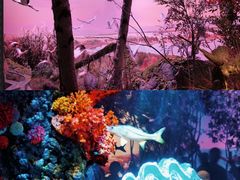 -中国湿地博物馆