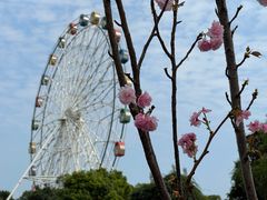 -观澜湖生态运动公社