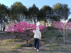 -圆明园遗址公园-藻园门售票处