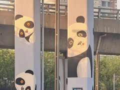 -太原动物园