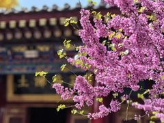 -西安市广仁寺