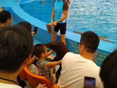 -尼莫海豚馆