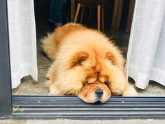 -看见远方·莫干遥远的山民宿