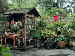 -青城甲(青城山店)